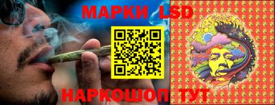 меф Краснознаменск