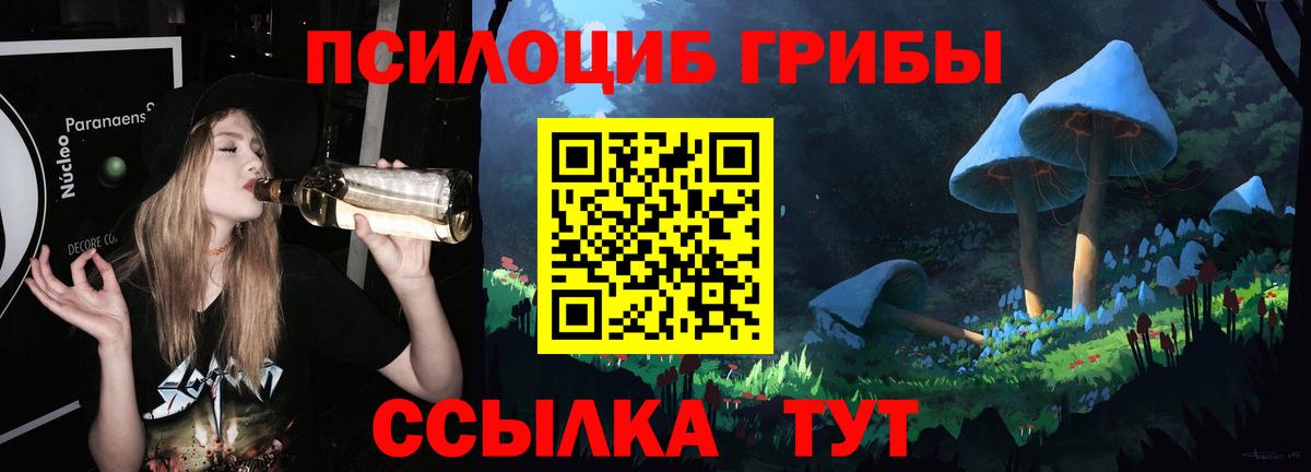 Холмск  Псилоцибиновые грибы Magic Shrooms  Вход с VPN 